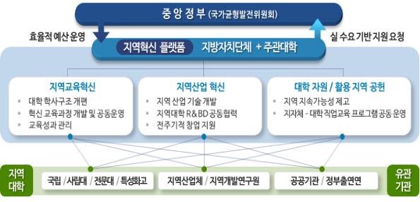 '지자체-대학 협력기반 지역혁신 사업' 구조도.(사진제공=교육부)