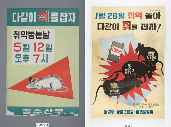 ▲ 1960~70년대 정부는 일 년에 한두 번을 ‘쥐 잡는 날’을 정하고, 쥐 박멸에 나섰다. 학교에서는 쥐 잡는 날 포스터 그리기 대회 및 웅변대회를 개최하기도 했다. (출처: 공공누리)