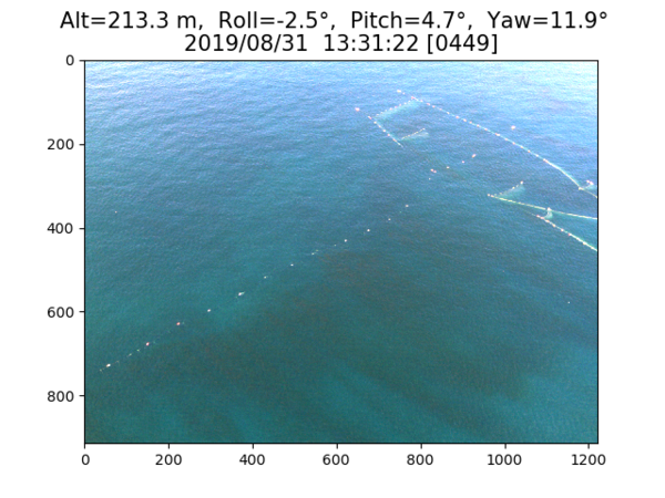 ▲ 전남 여수 해역의 적조 RGB 영상