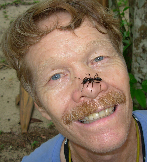 저스틴 슈미트는 곤충의 침에 쏘일 때 느끼는 통증의 강도를 정리한 ‘슈미트 통증 지수’를 만들었다. 초사흘달 제공<br>